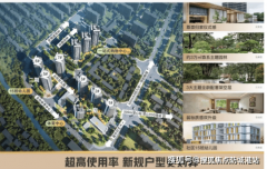 ⭕招商电建南国雍